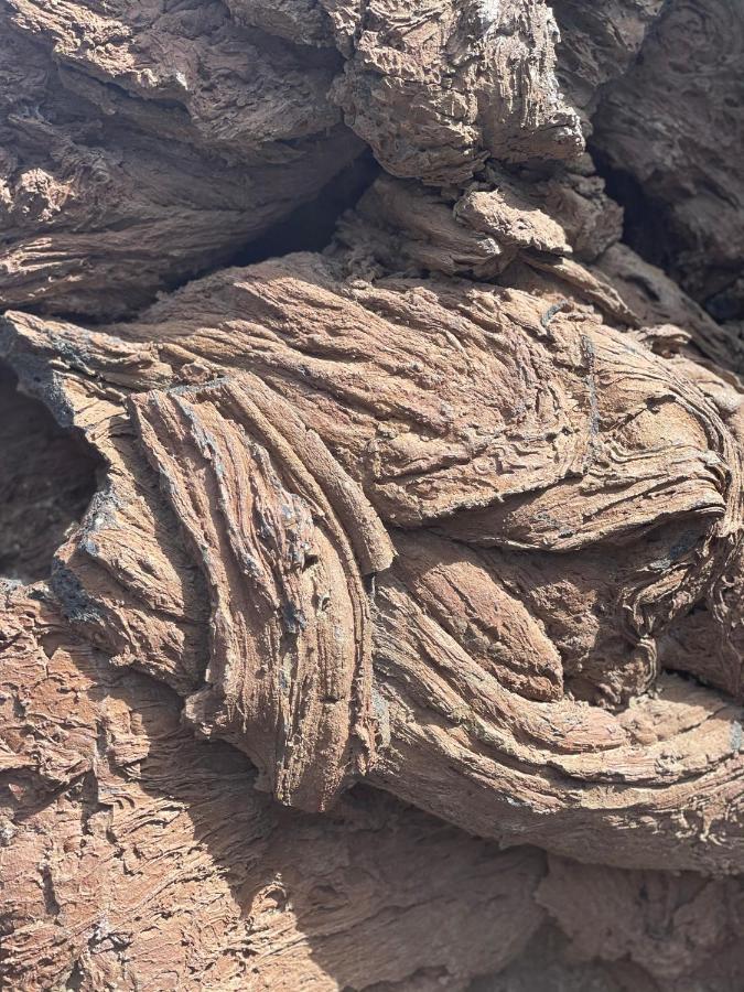 Izaro Apartamento Atico de Lujo cerca de Playa Dorada Playa Blanca  Exterior foto